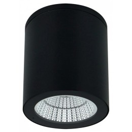 Накладной светильник Arte Lamp TORCULAR A1313PF-1BK