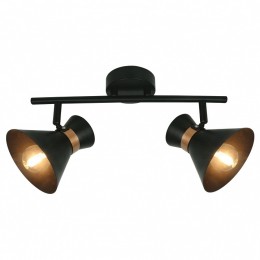 Спот Arte Lamp Baltimore A1406AP-2BK