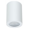 Накладной светильник Arte Lamp Tino A1468PL-1WH