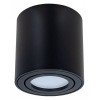 Накладной светильник Arte Lamp Beid A1513PL-1BK