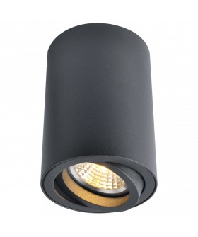 Накладной светильник Arte Lamp Sentry A1560PL-1BK