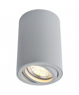 Накладной светильник Arte Lamp Sentry A1560PL-1GY