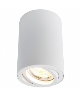 Накладной светильник Arte Lamp Sentry A1560PL-1WH