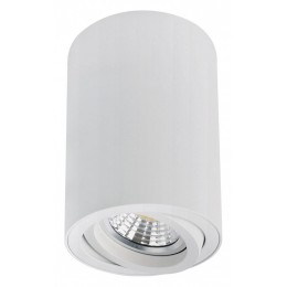 Накладной светильник Arte Lamp Sentry A1566PL-1WH