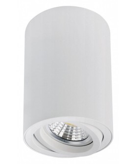 Накладной светильник Arte Lamp Sentry A1566PL-1WH