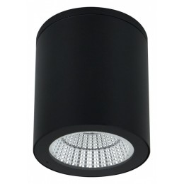 Накладной светильник Arte Lamp A1813 A1813PF-1BK