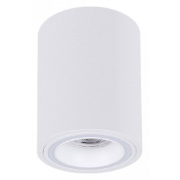 Накладной светильник Arte Lamp Imai A2267PL-1WH