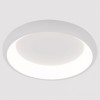 Накладной светильник Arte Lamp None A2694PL-45WH