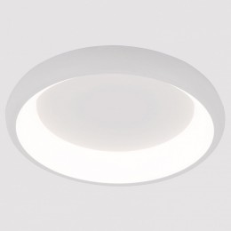 Накладной светильник Arte Lamp None A2694PL-45WH