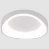 Накладной светильник Arte Lamp None A2698PL-48WH
