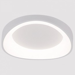 Накладной светильник Arte Lamp None A2698PL-48WH