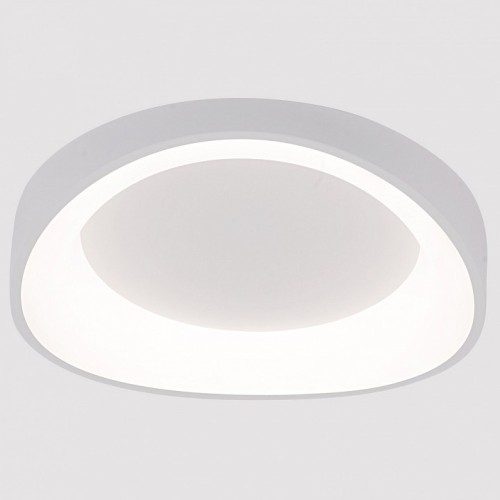 Накладной светильник Arte Lamp None A2698PL-48WH