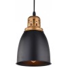 Подвесной светильник Arte Lamp Eurica A4248SP-1BK