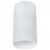 Накладной светильник Arte Lamp Fang A5557PL-1WH