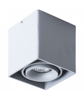 Накладной светильник Arte Lamp Pictor A5654PL-1GY