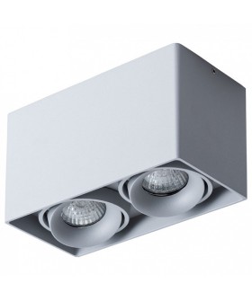 Накладной светильник Arte Lamp Pictor A5654PL-2GY