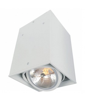 Накладной светильник Arte Lamp Cardani A5936PL-1WH