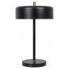 Настольная лампа декоративная Arte Lamp Skat A7052LT-2BK