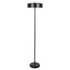 Торшер Arte Lamp Skat A7052PN-2BK