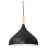Подвесной светильник Arte Lamp KAYLA A7101SP-1BK