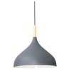 Подвесной светильник Arte Lamp KAYLA A7101SP-1GY