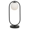 Настольная лампа декоративная Arte Lamp MATISSE A7745LT-1BK