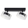Спот Arte Lamp ALIUS A8042PL-2BK