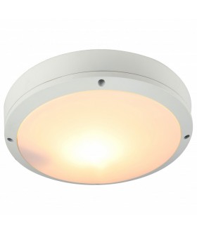 Накладной светильник Arte Lamp City A8154PF-2WH