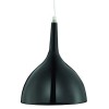 Подвесной светильник Arte Lamp Pendants 2 A9077SP-1BK