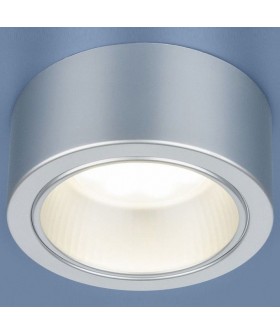 Накладной светильник Elektrostandard 1070 a035976