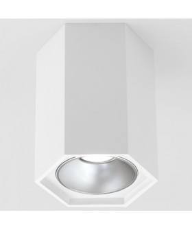 Накладной светильник Elektrostandard 25036/LED a055856