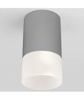 Накладной светильник Elektrostandard Light LED a057158