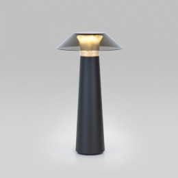 Настольная лампа декоративная Elektrostandard Future a062379