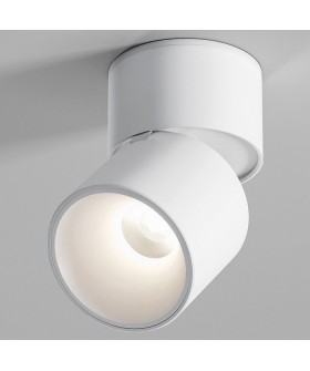 Накладной светильник Elektrostandard Rolly a067487