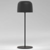 Настольная лампа декоративная Elektrostandard Bitty a069002
