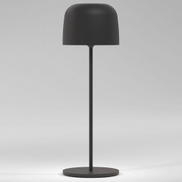 Настольная лампа декоративная Elektrostandard Bitty a069002