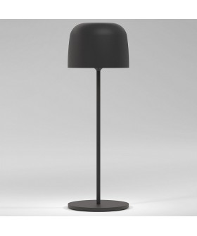 Настольная лампа декоративная Elektrostandard Bitty a069002