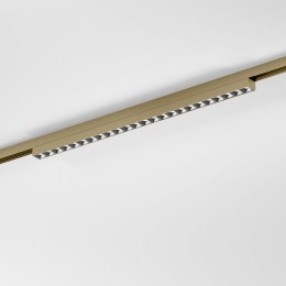 Накладной светильник Elektrostandard  85529/01