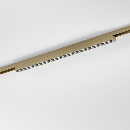 Накладной светильник Elektrostandard  85529/01