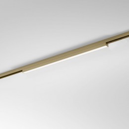 Накладной светильник Elektrostandard  85527/01