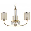 Подвесная люстра EVOLUCE Ellisse SLE1119-303-03