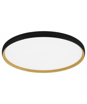 Накладной светильник EVOLUCE HELST SLE1810-402-01