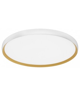 Накладной светильник EVOLUCE HELST SLE1810-502-01