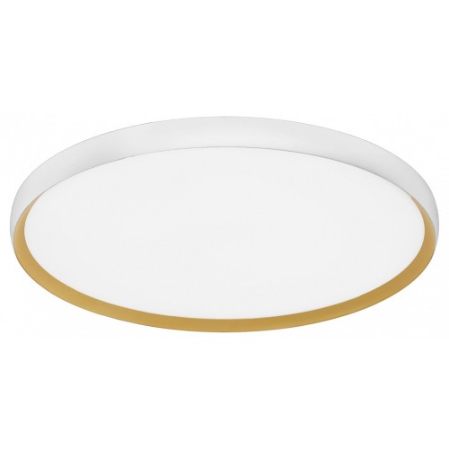 Накладной светильник EVOLUCE HELST SLE1810-502-01