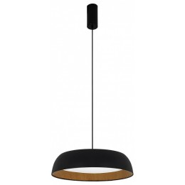 Подвесной светильник EVOLUCE MUSE SLE1812-403-01