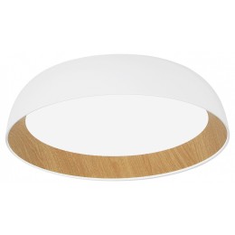 Накладной светильник EVOLUCE MUSE SLE1812-502-01