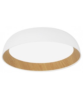 Накладной светильник EVOLUCE MUSE SLE1812-502-01