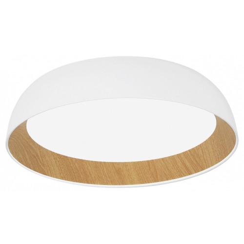 Накладной светильник EVOLUCE MUSE SLE1812-502-01