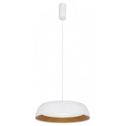 Подвесной светильник EVOLUCE MUSE SLE1812-503-01