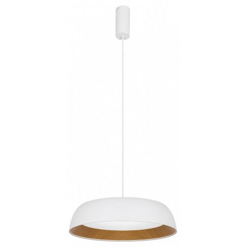 Подвесной светильник EVOLUCE MUSE SLE1812-503-01